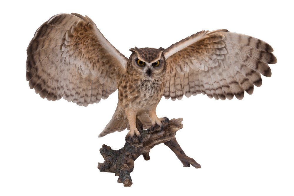 Handcrafted Eagle Owl on Branch Statue - Realistic Wings Out Decor for Home & Garden - Perfect for Outdoor Patio, Living Room, or Office Display