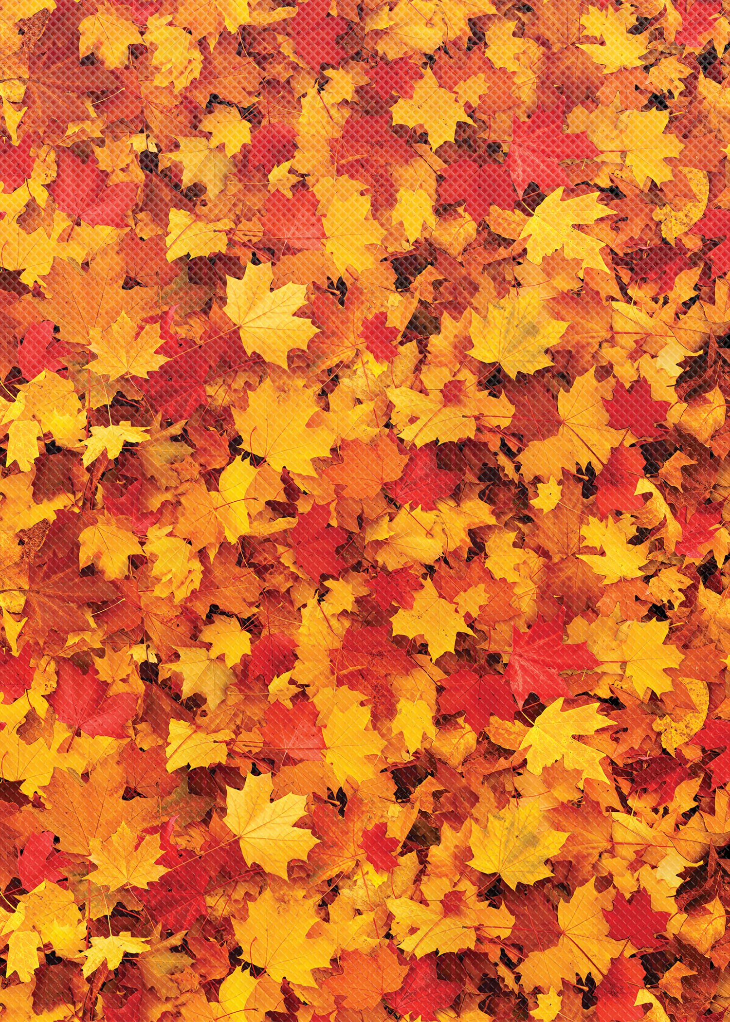 Fall Leaves Better Than Paper® Bulletin Board Roll - Decorative Classroom, Office & Home Decor for Autumn Season