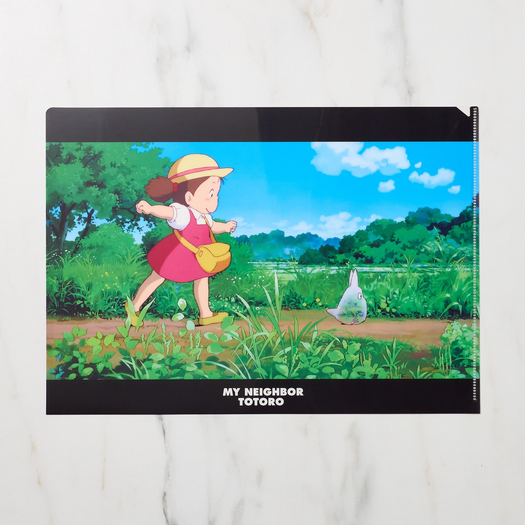 Studio Ghibli My Neighbor Totoro Scenes A4 Clear File Folder - Anime Collectible for School, Office & Home Organization | Perfect for Documents, Artwork & Stationery Storage