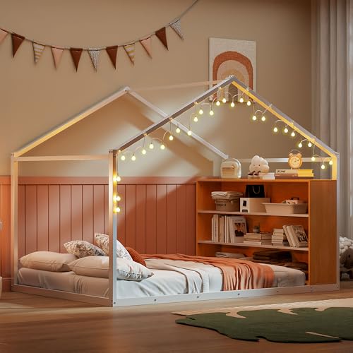 White With Shelves and Lights