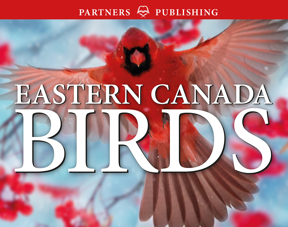 Lone Pine Eastern Canada Birds Pocket Guide - Compact Field Guide for Birdwatching in Eastern Canada | Perfect for Hiking, Camping & Nature Exploration