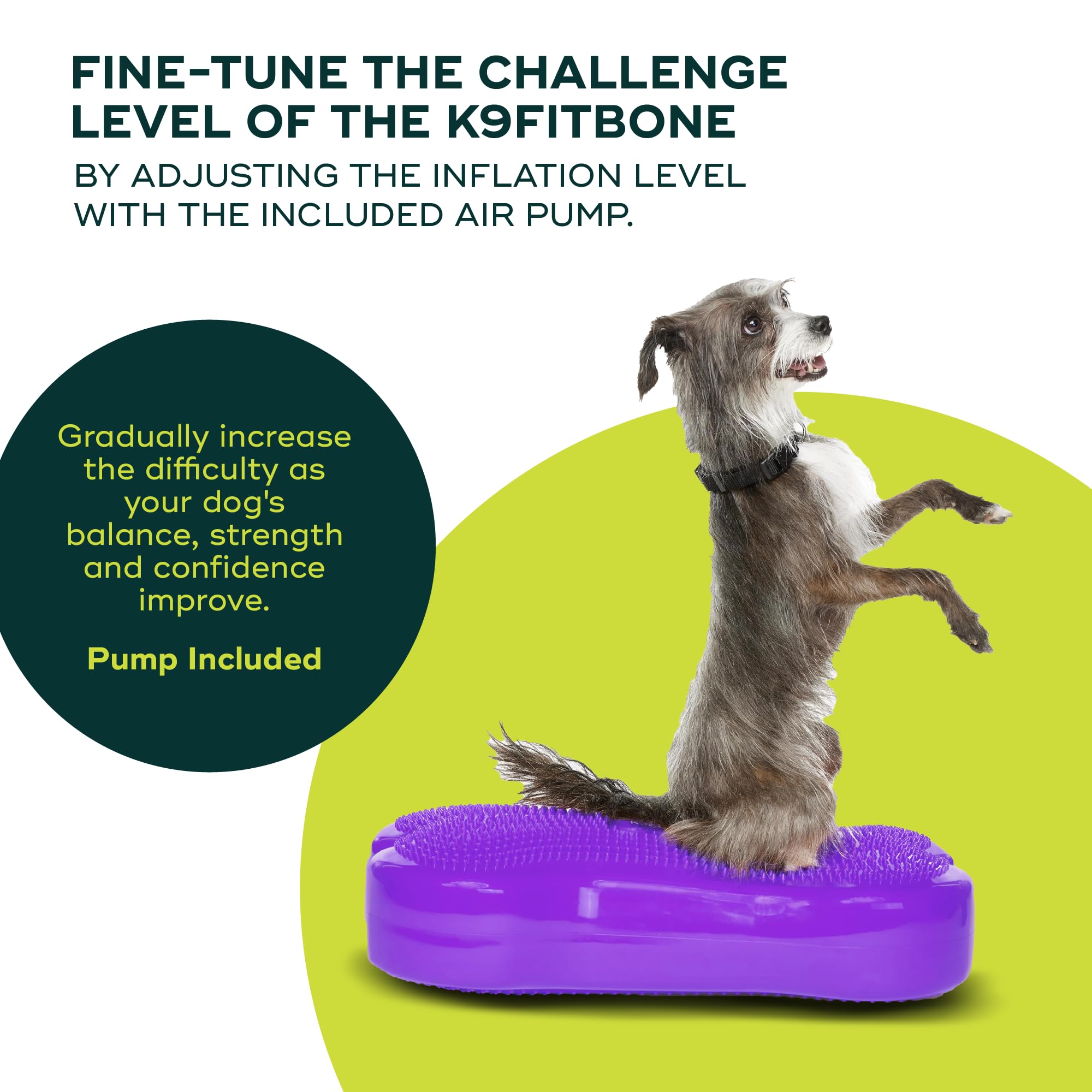 FitPAWS K9FITbone Regular Purple Dog Balance Training Platform - Core Strength & Stability Exercise Equipment for Canine Fitness - Perfect for Agility Training, Rehabilitation & Home Workouts