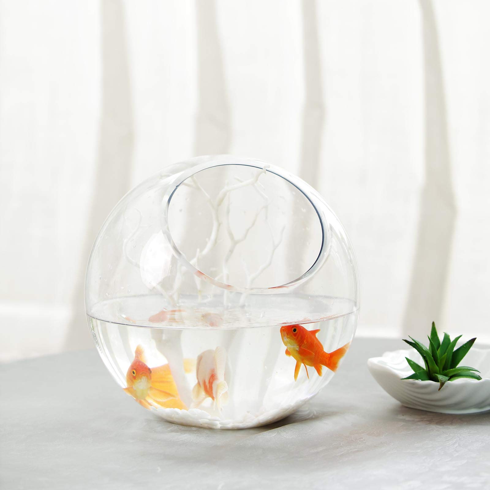9-Inch Tall Slanted Clear Glass Vase Terrarium for Wedding Centerpieces, Party Decor, Home & Event Decorations - Perfect for Floral Arrangements, Succulent Displays, and Tabletop Decor