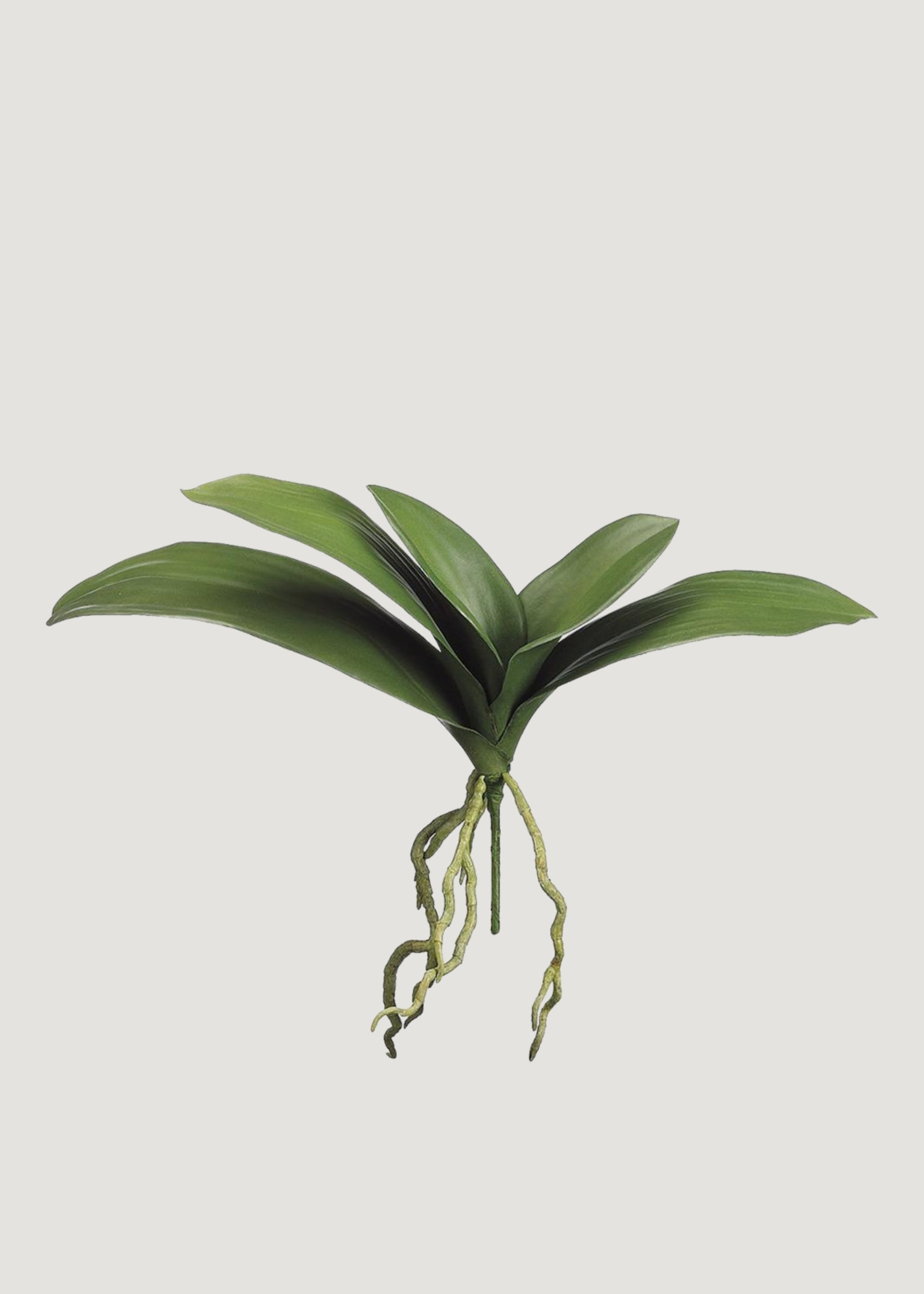 Artificial Phalaenopsis Orchid Leaf Plant - 15 Stems Realistic Fake Orchid Flowers for Home Decor, Wedding Centerpieces & Office Decoration
