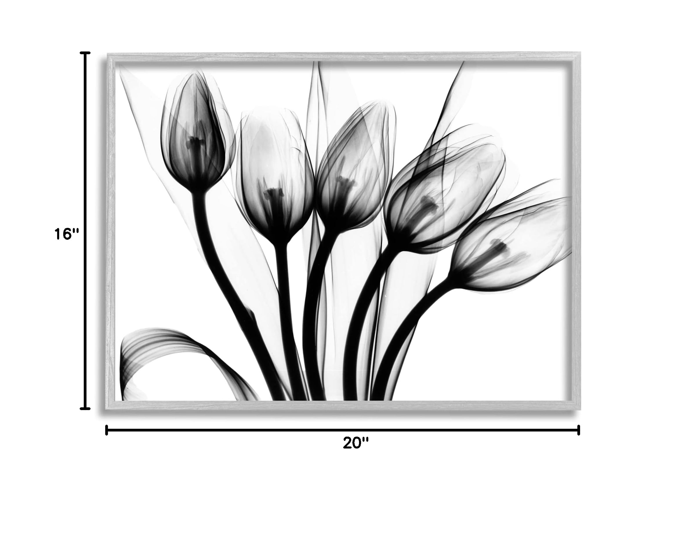 Stupell Industries Modern Tulip Blossom Abstract Monochrome Silhouette Wall Art - Black & White Floral Photography by Albert Koetsier - Perfect for Living Room, Bedroom & Office Decor
