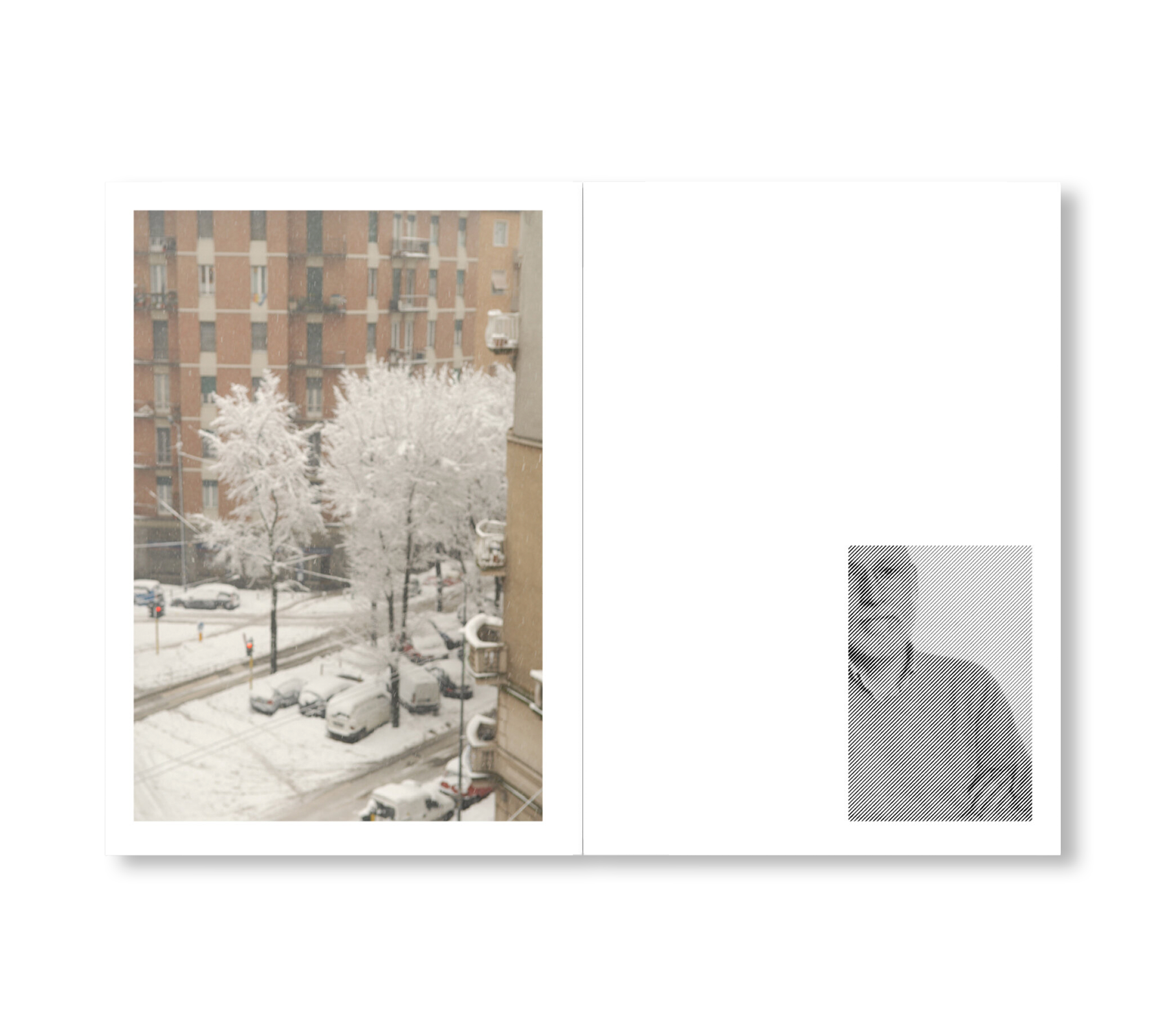 Autobiography No.15 by Stefano Arienti - Contemporary Art Book for Collectors & Art Enthusiasts | Perfect for Home Decor, Gallery Displays & Gift Giving