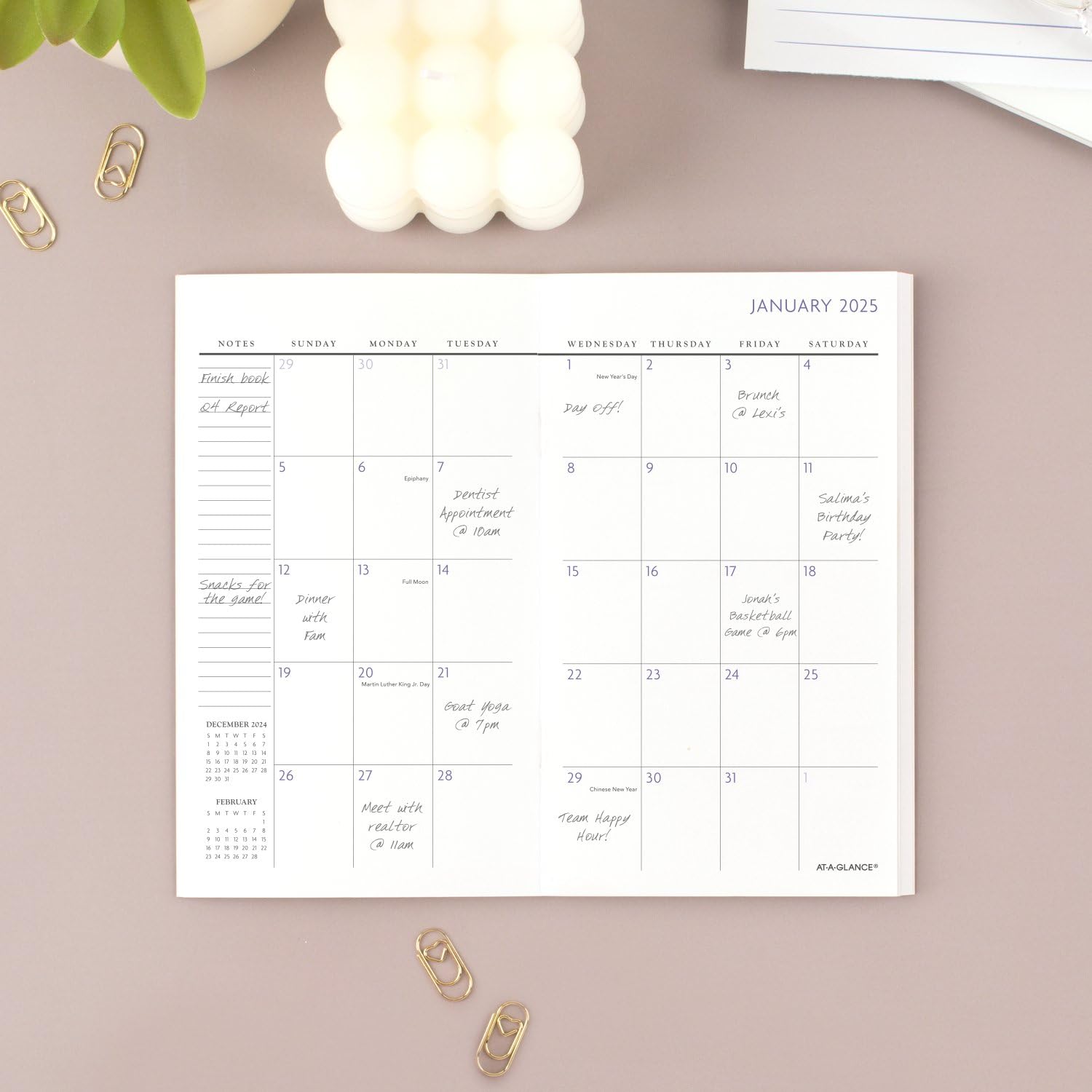 AT-A-GLANCE 2025-2026 Monthly Planner - 3.5