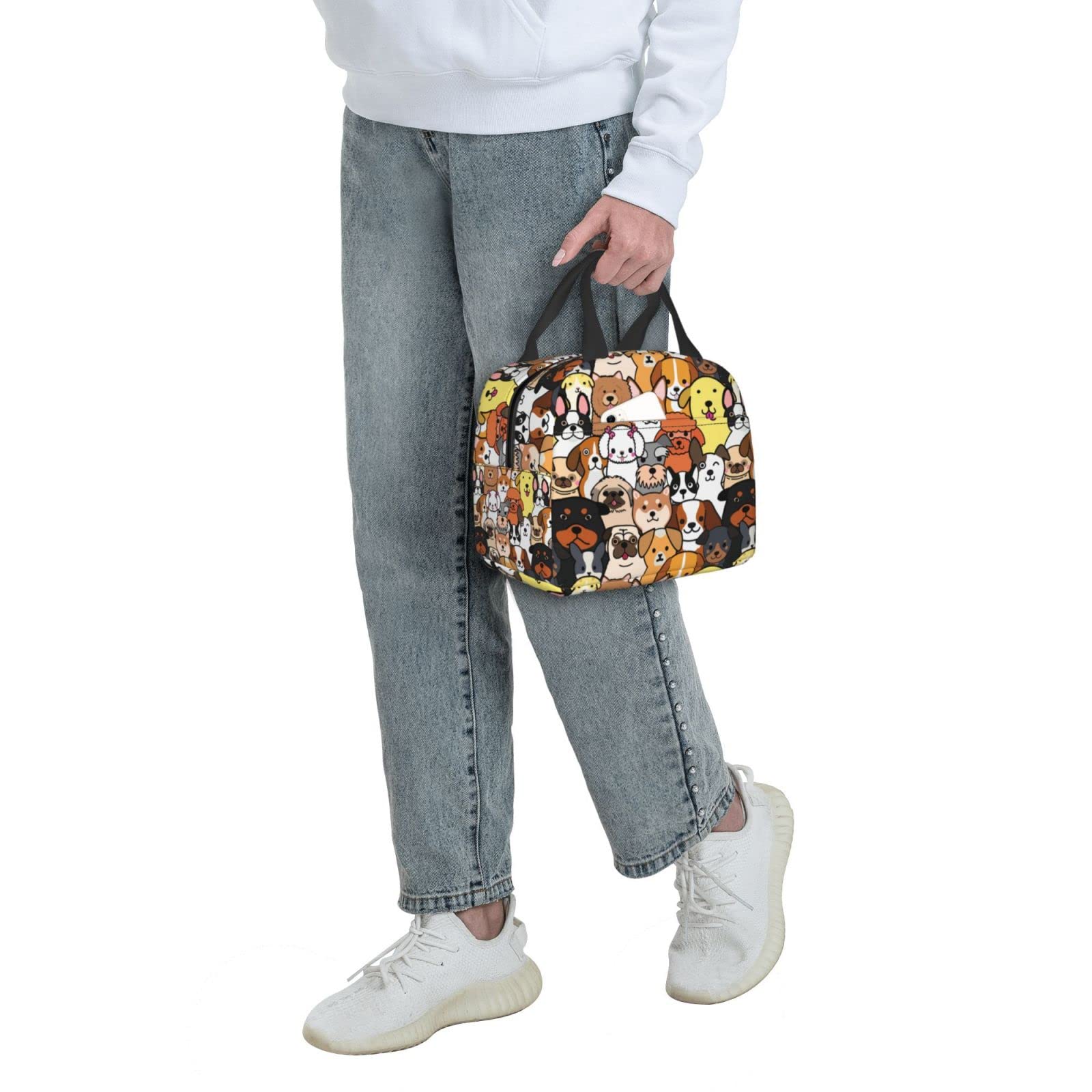 Insulated Reusable Lunch Box for Dogs - Leak Proof & Eco-Friendly Lunch Bag for Kids, Teens, Women - Perfect for School, Travel, Picnic & Beach Outings