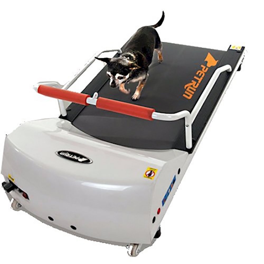 Petrun PR700 Dog Treadmill - Indoor Exercise & Fitness Machine for Small to Medium Dogs Up to 44 lbs - Perfect for Home Workouts, Weight Management & Rehabilitation Training