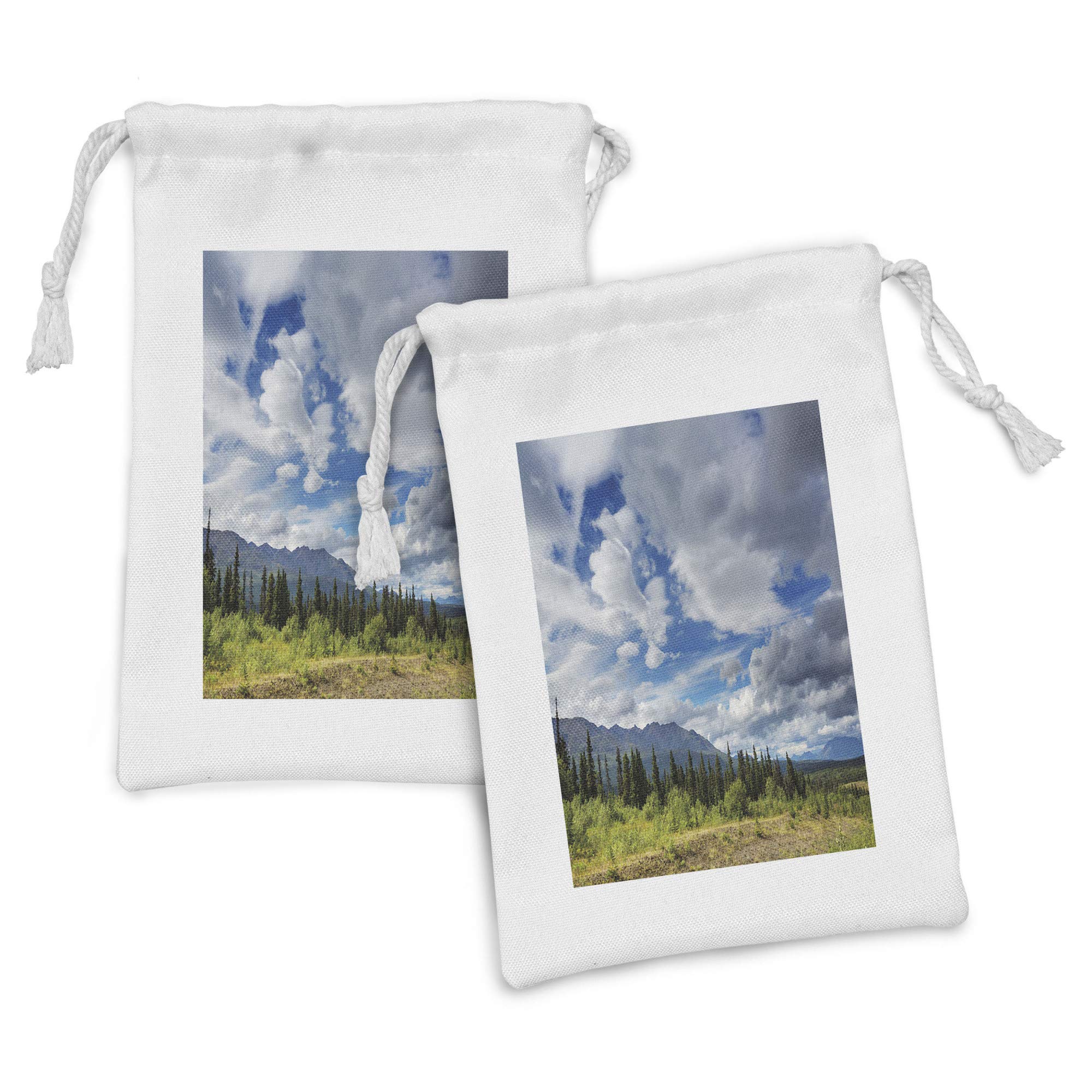 Ambesonne 2-Pack Mountain Themed Fabric Pouches - Canadian Landscape Art Drawstring Bags (9
