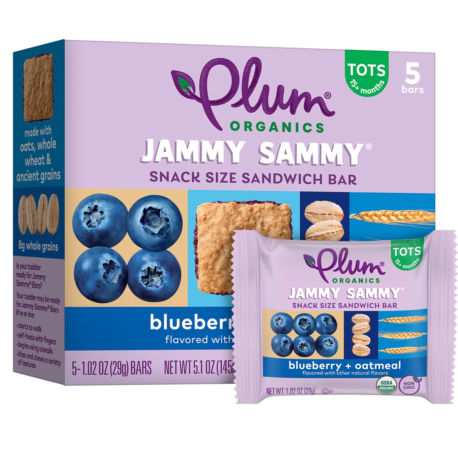 Organic Blueberry Oatmeal Toddler Snack Bars - Pack of 5 for On-the-Go Nutrition