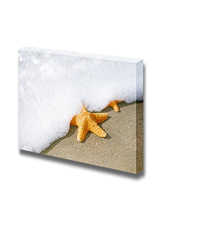 Starfish