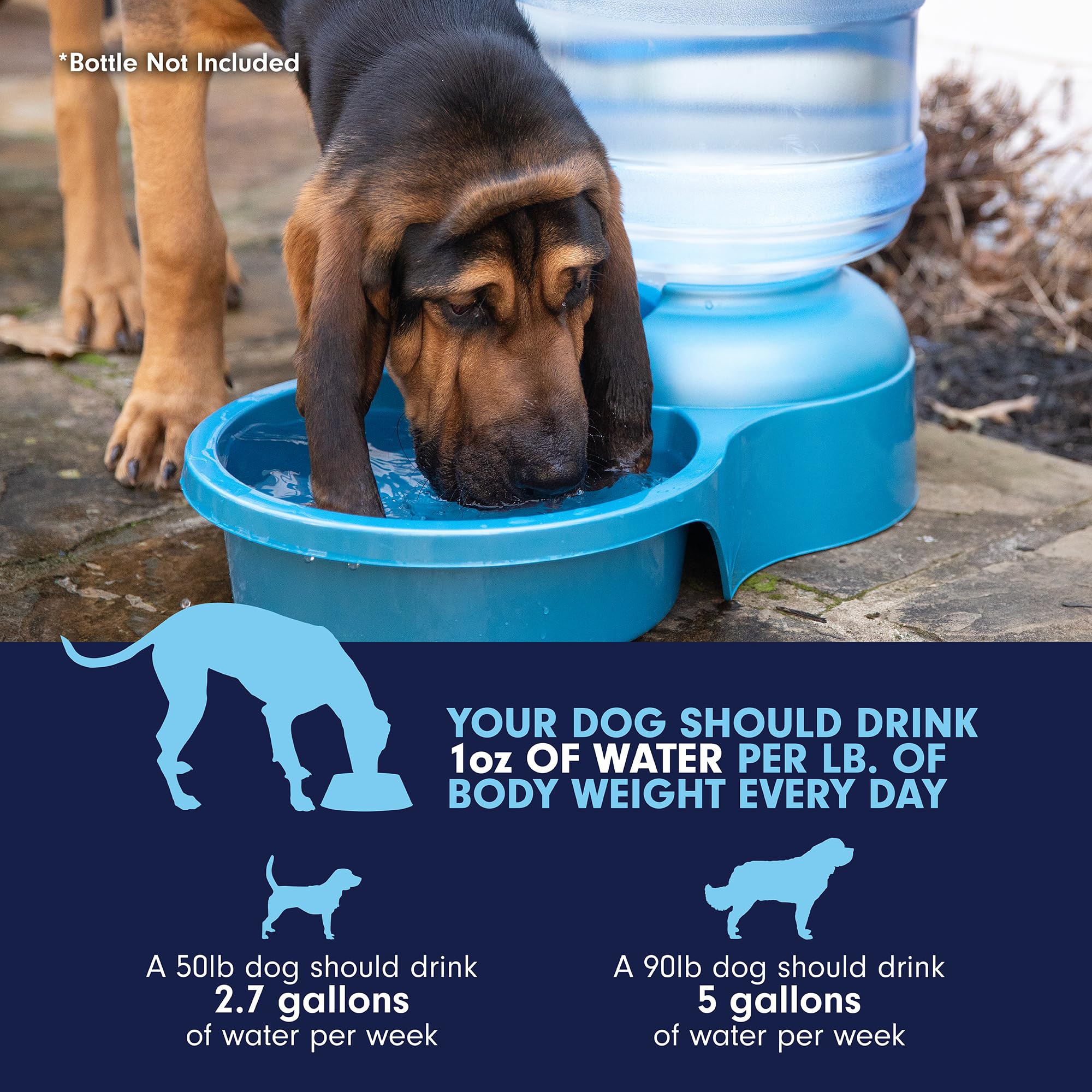 Petmate Big Blue 5-Gallon Outdoor Water Bowl for Dogs & Cats – Durable, Made in USA – Ideal for Backyards, Farms, and Outdoor Adventures