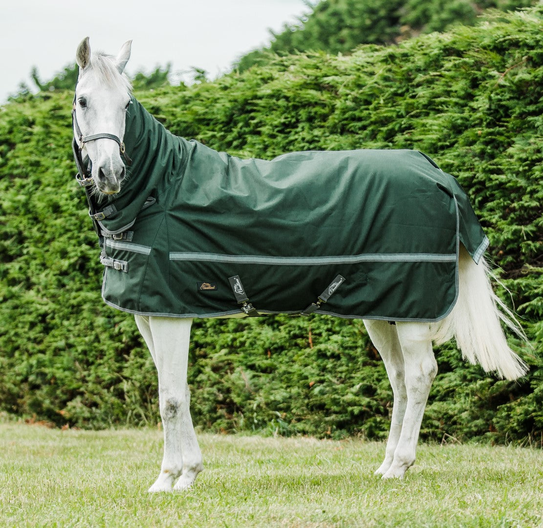 Cavallino Burghley 220gm Combo - Premium Equestrian Riding Gear for Dressage & Show Jumping | Perfect for Competitions & Training Sessions