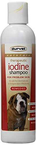 Durvet Naturals Iodine Shampoo for Dogs & Cats - 8 oz Medicated Pet Shampoo for Skin Conditions, Hot Spots & Fungal Infections | Gentle Veterinary Formula for Itchy Skin Relief & Coat Care