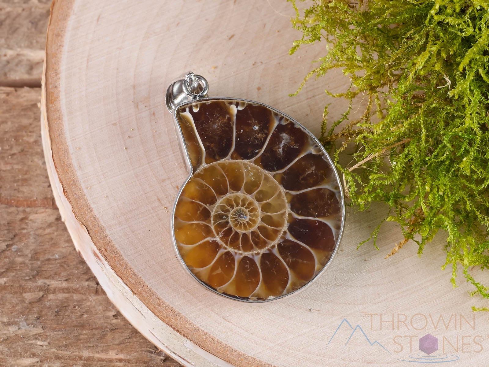 AMMONITE Fossil Pendant - Natural Ammolite & Opalized Ammonite Jewelry with Iridescent Colors | Unique Gift for Women, Men | Perfect for Birthdays, Anniversaries & Spiritual Healing (E0282)