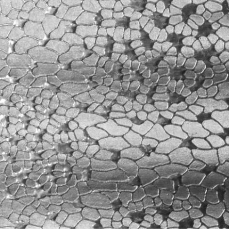 Silver Textured