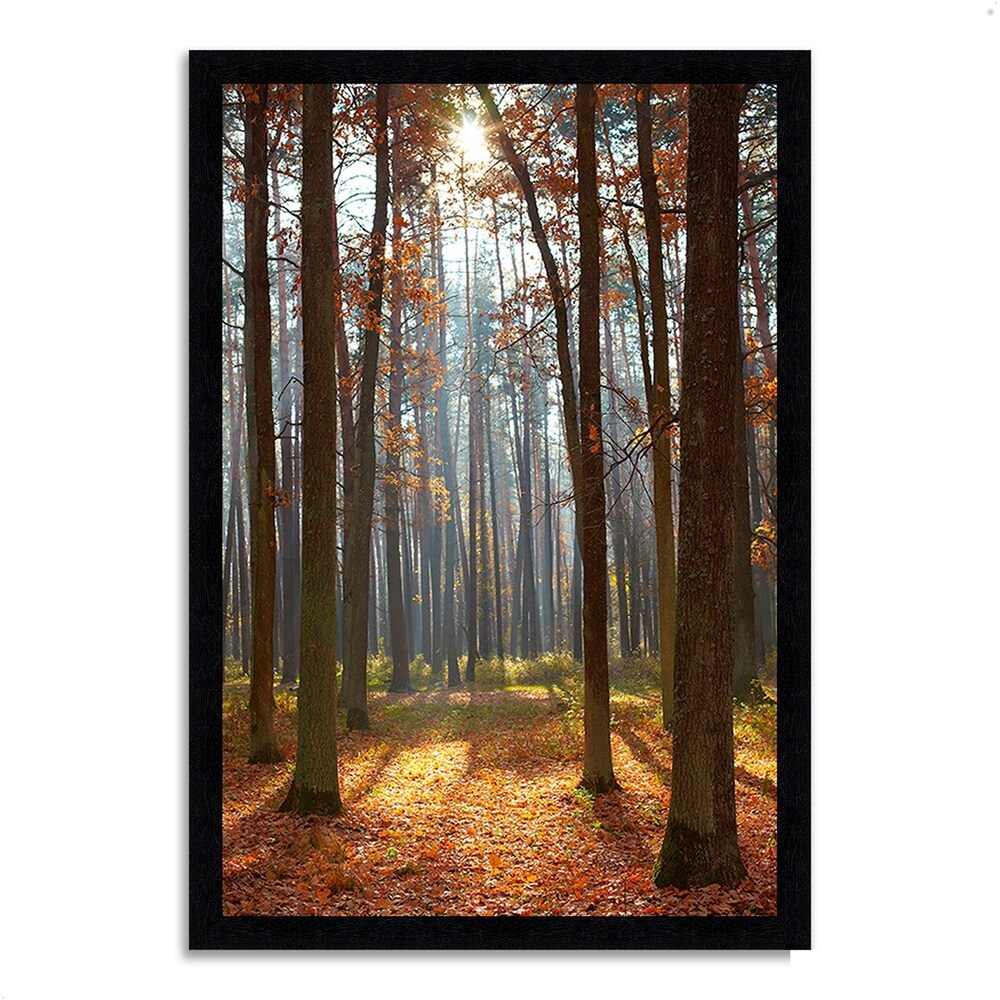 Autumn Forest Framed Wall Art Print - Nature Landscape Photography for Home & Office Decor - Perfect for Living Room, Bedroom, or Office Wall Decor