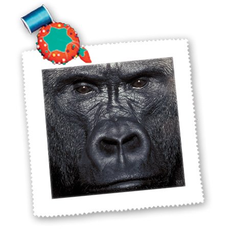 3D Rose Kike Calvo Lowland Gorilla Square Quilt Sheet - 10x10 Inch - Decorative Throw Pillow Cover for Sofa, Bed, Couch & Home Decor