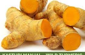 Organic Kasturi Turmeric Powder (Wild Haldi) - 100% Pure Natural Kasturi Manjal for Skin Care, Bathing & Ayurvedic Rituals - Glow Boosting Face Mask & Body Scrub Ingredient