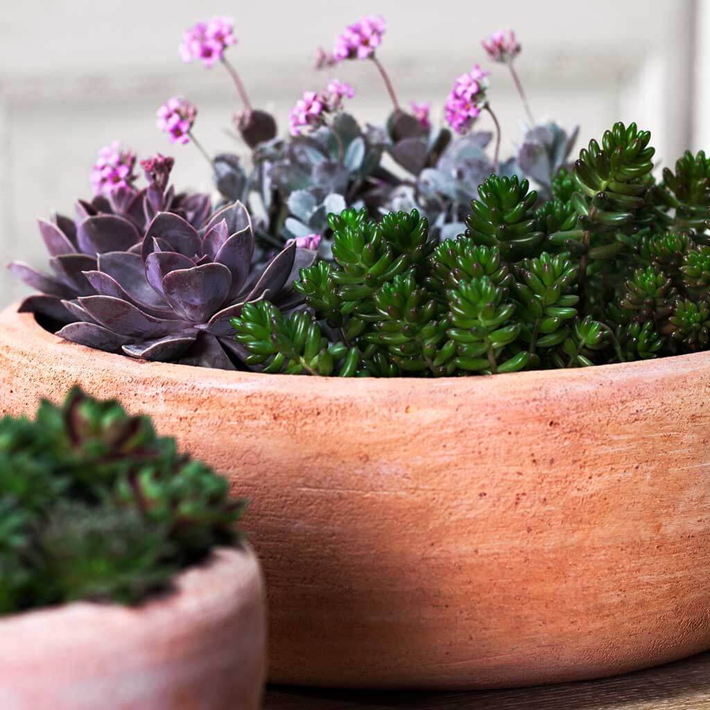 Campania International Annalise Terra Nova Planter Set of 2 - Elegant Flower Pots for Indoor/Outdoor Garden Decor, Patio & Home Plant Display