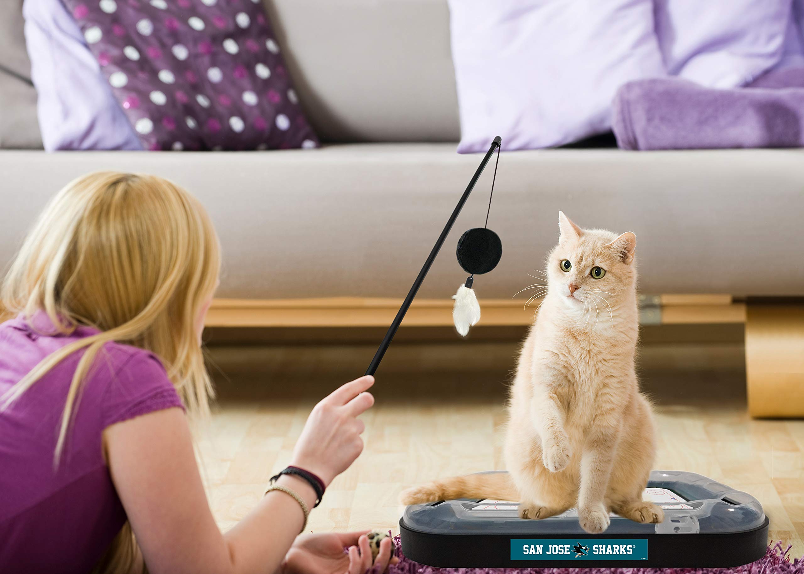 San Jose Sharks Hockey-Themed Cat Scratching Toy with Interactive Ball & Bell - 5-in-1 Multi-Functional Cat Scratcher for Play, Exercise & Stress Relief - Perfect for NHL Fans & Cat Lovers