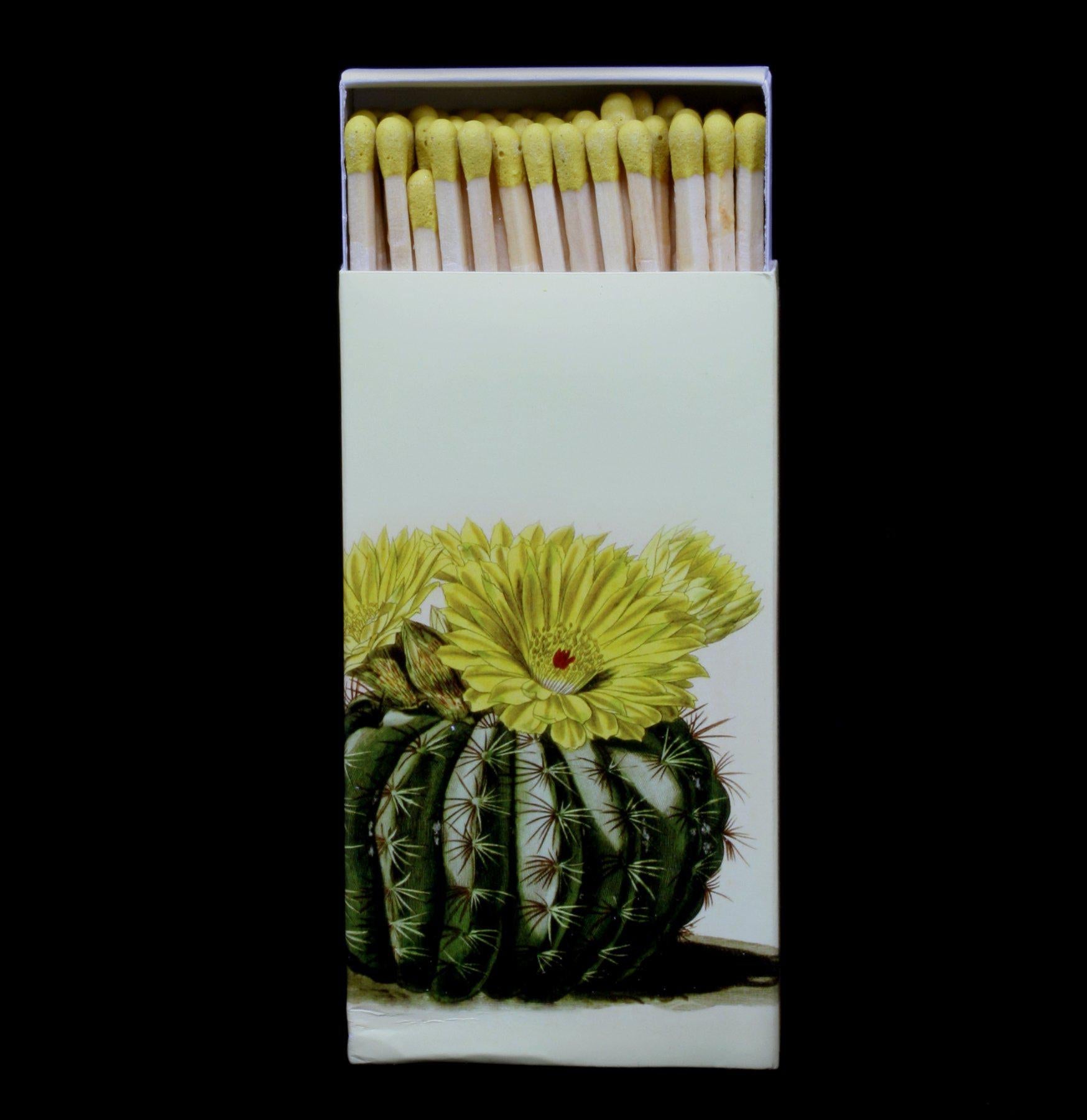 Premium Wooden Matches - Long-Lasting, All-Weather Matches for Fireplaces, Camping & Emergency Use