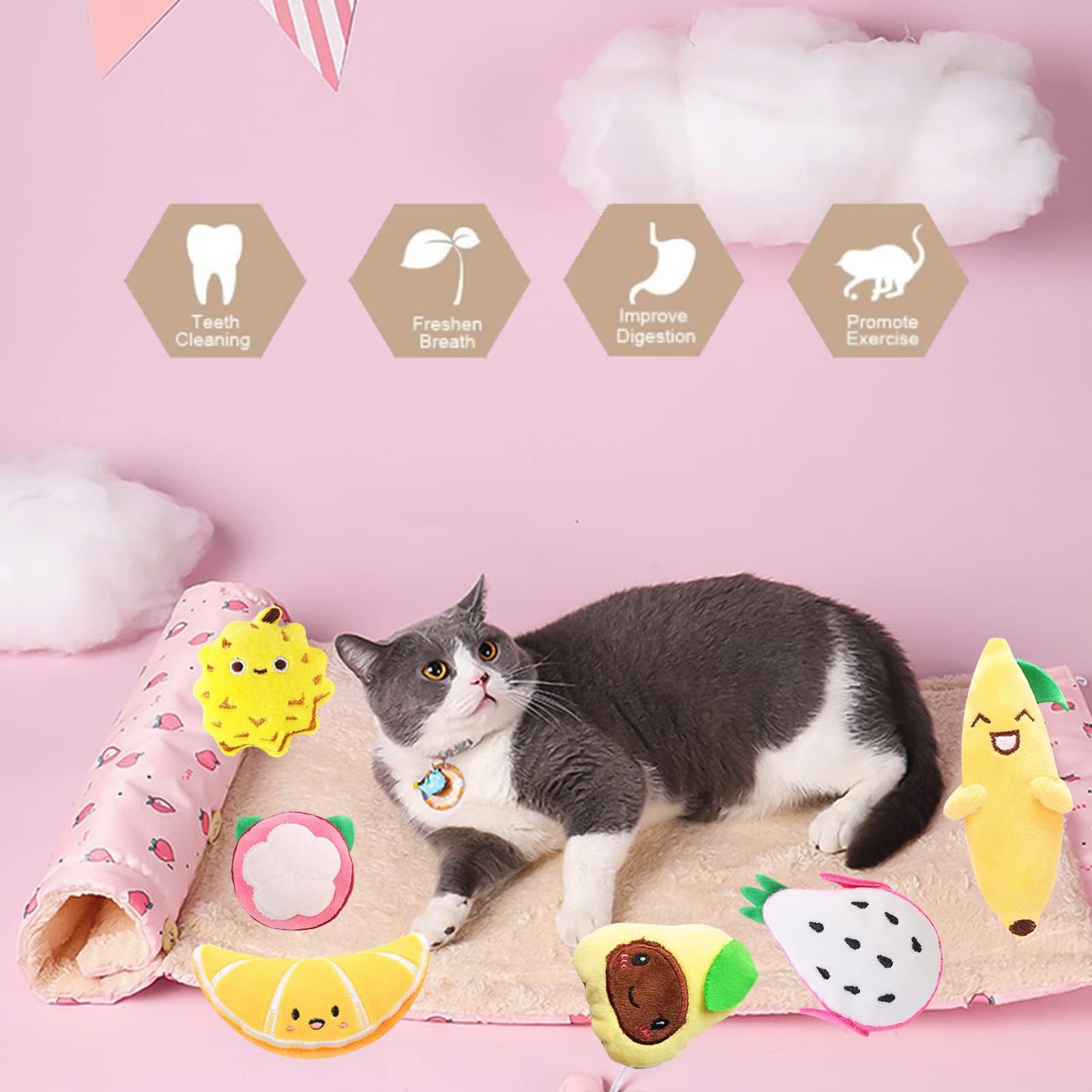 6 Pack Catnip Toys for Kittens - Durable Chew Resistant Interactive Cat Toys with Catnip, Plush Fruit Shapes for Indoor Cats - Promotes Dental Health, Great Gift for Cat Lovers (Apple, Banana, Strawberry) - Perfect for Playtime, Training & Stress Relief
