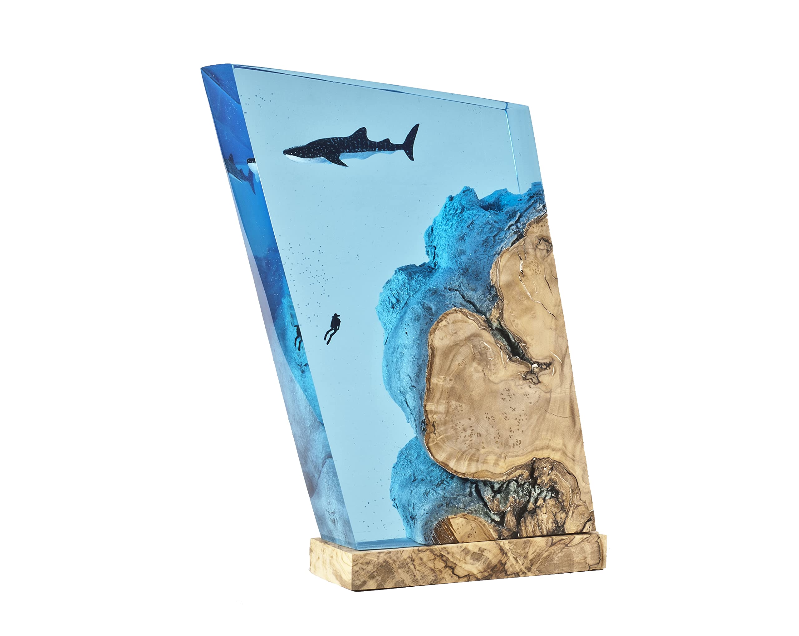 Epoxy Resin Lamp - Handmade Whale Art & Sea Animals Night Light, Unique Resin Epoxy Bedside Lamp with Whale Shark Design, Mood Lighting for Home Decor, Nature-Inspired Original Artwork | Perfect for Bedroom, Living Room & Office Ambiance