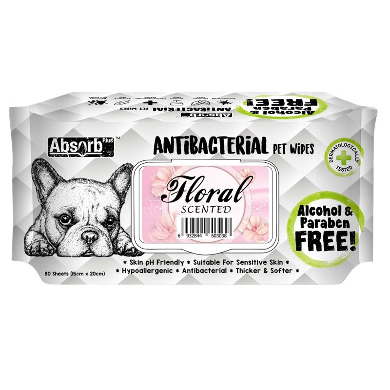 Absorb Plus Antibacterial Scented Pet Wipes - 80 Count | Gentle Cleaning for Dogs & Cats | Freshens & Deodorizes Fur | Perfect for Grooming, Travel & Post-Walk Cleanup