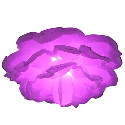 Flower 12