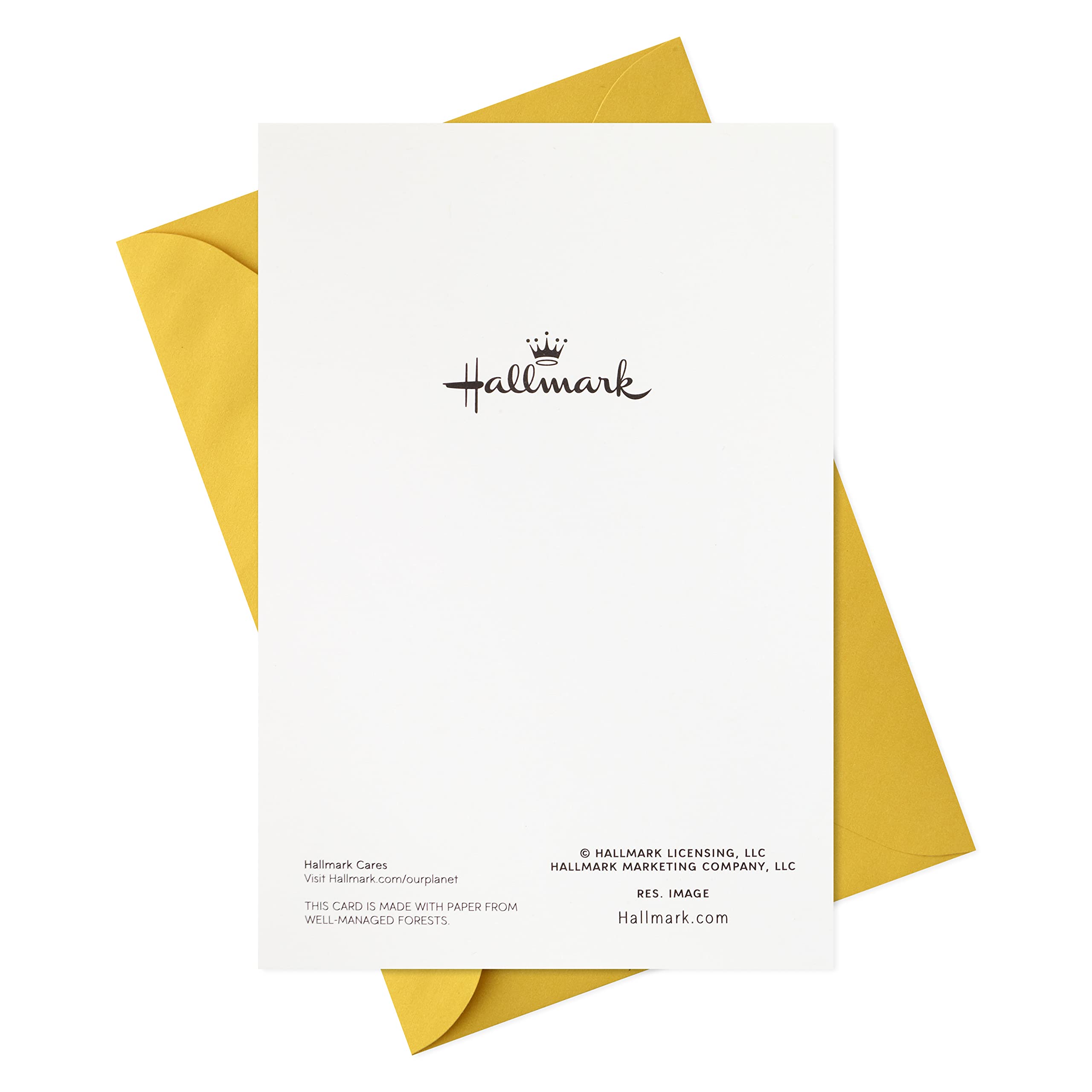 Hallmark Easter Greeting Cards with Envelopes - Pack of 6 Assorted Easter Egg Designs - Perfect for Easter Celebrations, Gifts and Spring Decorations