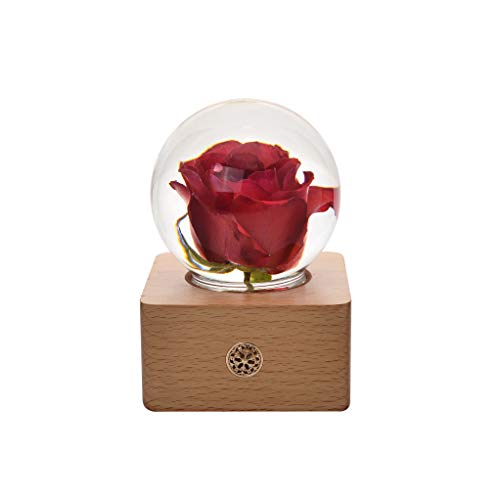10-rose_red