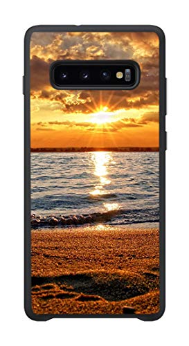 For S10 Plus(6.4in)