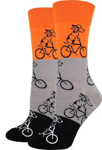 Orange Dog on Bike