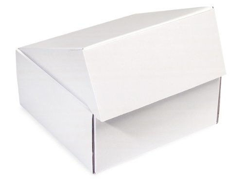 Premium White 9x9x4 Inch Auto-Lock Gourmet Shipping Boxes - 2 Units (6 Pack Each) for Bakery, Food Delivery & Gift Packaging