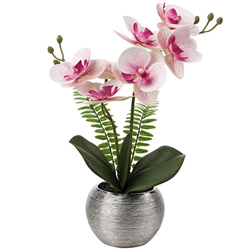 Light Pink Orchids Silver Vase
