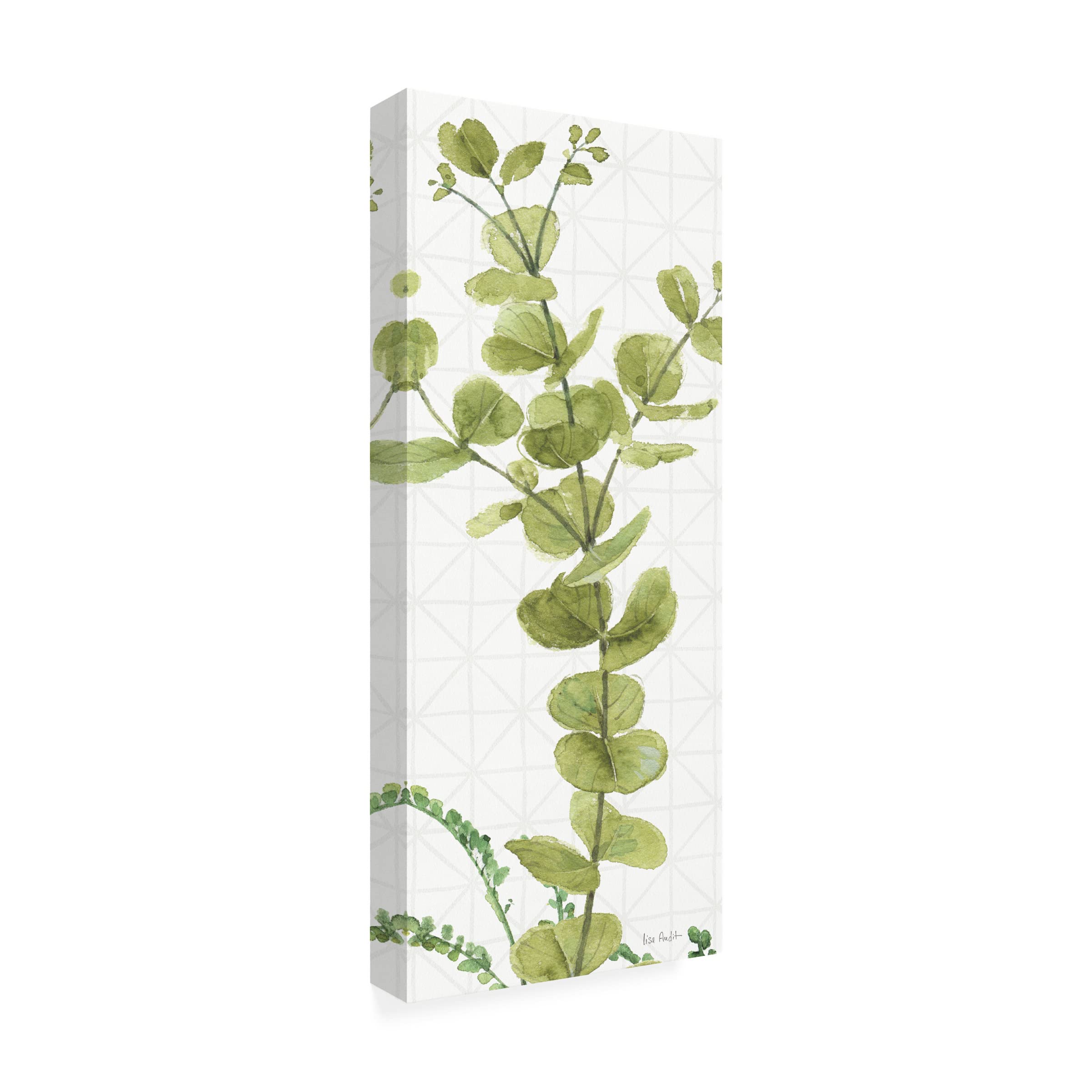 Trademark Fine Art 'Mixed Greens LX' Canvas Art by Lisa Audit - Vibrant Floral Wall Decor for Living Room, Bedroom & Office