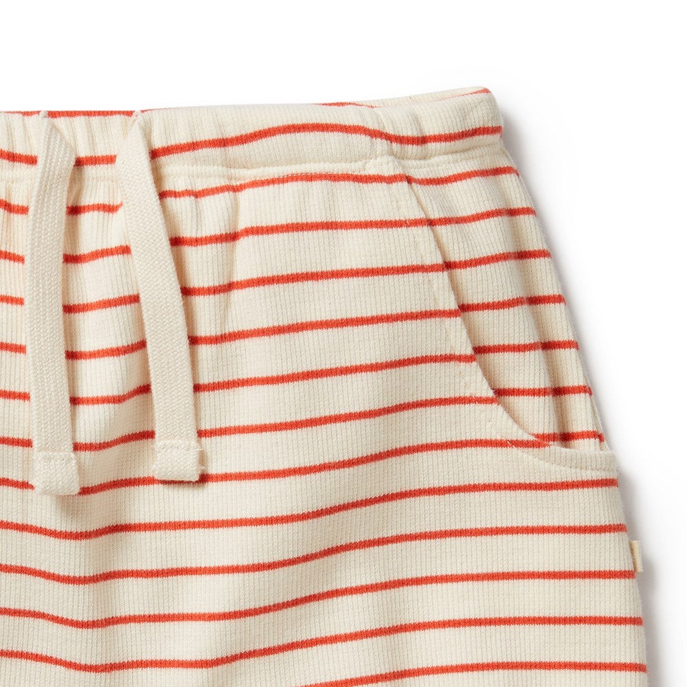 Organic Cotton Bloomer Shorts for Baby Girls | Soft & Breathable Petit Rouge Underwear | Perfect for Playtime, Diaper Covers & Everyday Comfort