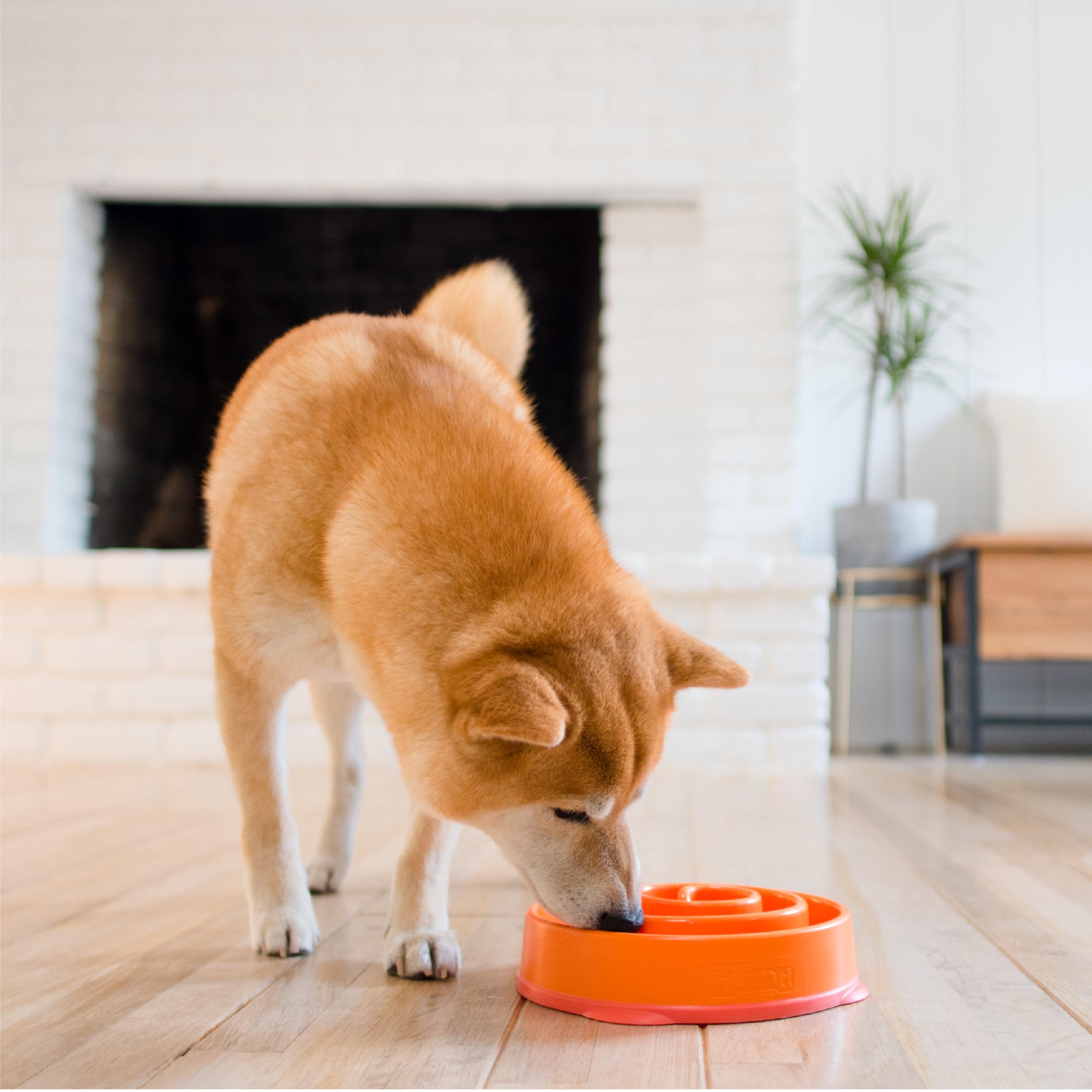 Outward Hound Fun Feeder Slow Feed Dog Bowl - Orange Plastic Puzzle Feeder for Small & Large Dogs - Prevent Bloat & Aid Digestion - Perfect for Fast Eaters & Mealtime Enrichment