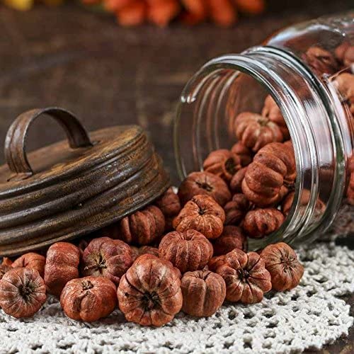 Natural Dried Putka Pod Mini Pumpkins - Fall Decor Bowl Filler (4 Cups) | Tiny Pumpkin Pods for Autumn Centerpieces, Thanksgiving Table Decor & DIY Crafts
