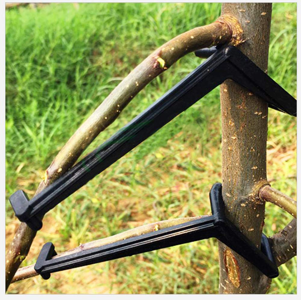 QiXin Fruit Tree Branch Spreader - 30 Pack Black Supports for Stronger Branches on Apple, Pear, and Other Fruit Trees | Ideal for Garden Pruning, Training Young Trees, and Improving Fruit Production