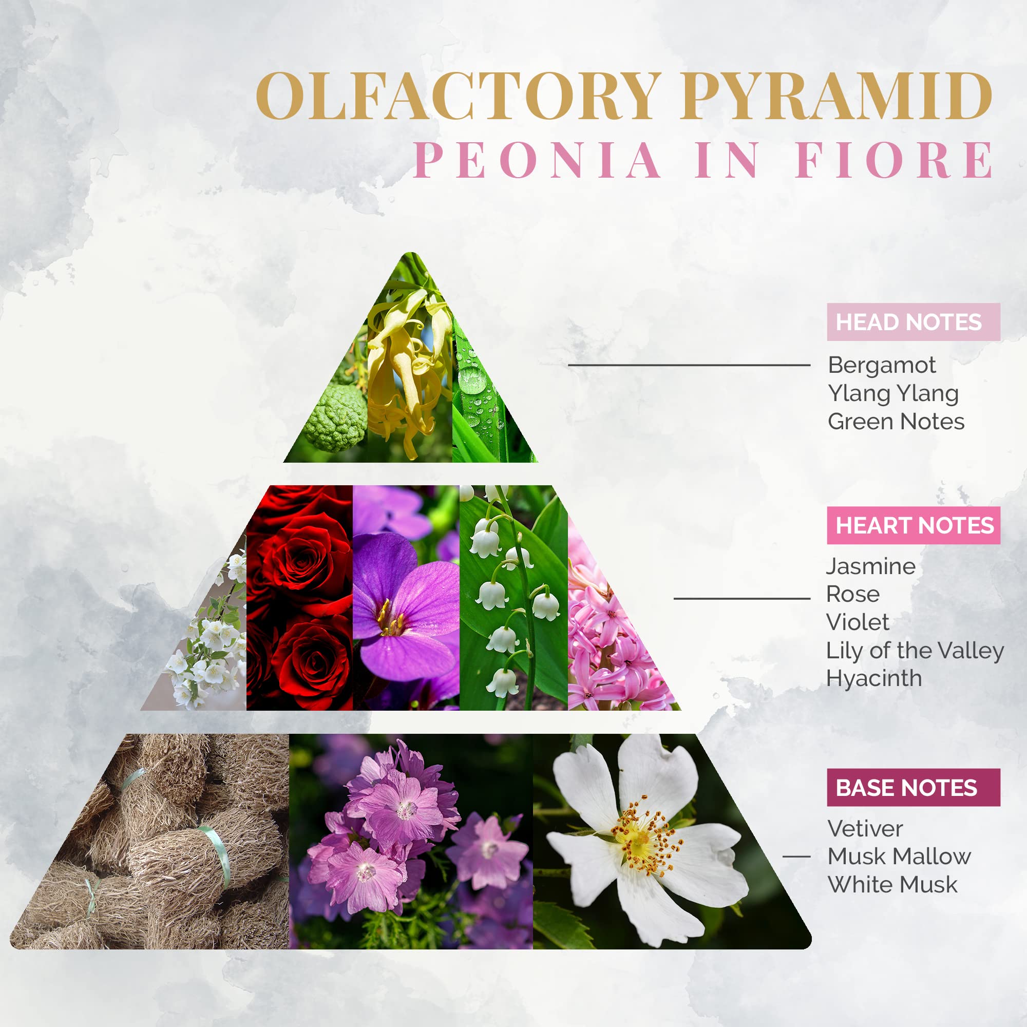 Luxury Peony in Bloom Home Fragrance Diffuser - 250ml Italian Floral Scented Reed Diffuser with 10 Natural Bamboo Reeds in Elegant Glass Bottle | Sweet Floral Aroma for Living Room, Bedroom & Office Decor