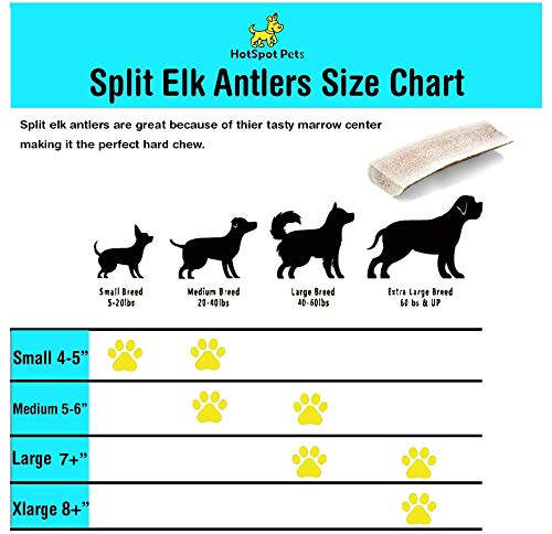 Premium Naturally Shed Elk Antlers for Dogs - All Natural USA-Made Dog Chew for Aggressive Chewers, Healthy Rawhide Alternative (Large Size) - Perfect for Teething Puppies & Long-Lasting Chewing Satisfaction