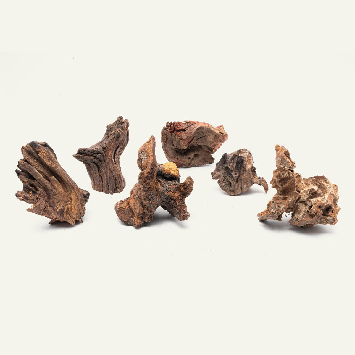 Natural Malaysian Driftwood Stump for Aquarium Decor - Unique Wood Centerpiece for Fish Tank, Reptile Habitat & Terrarium Landscaping
