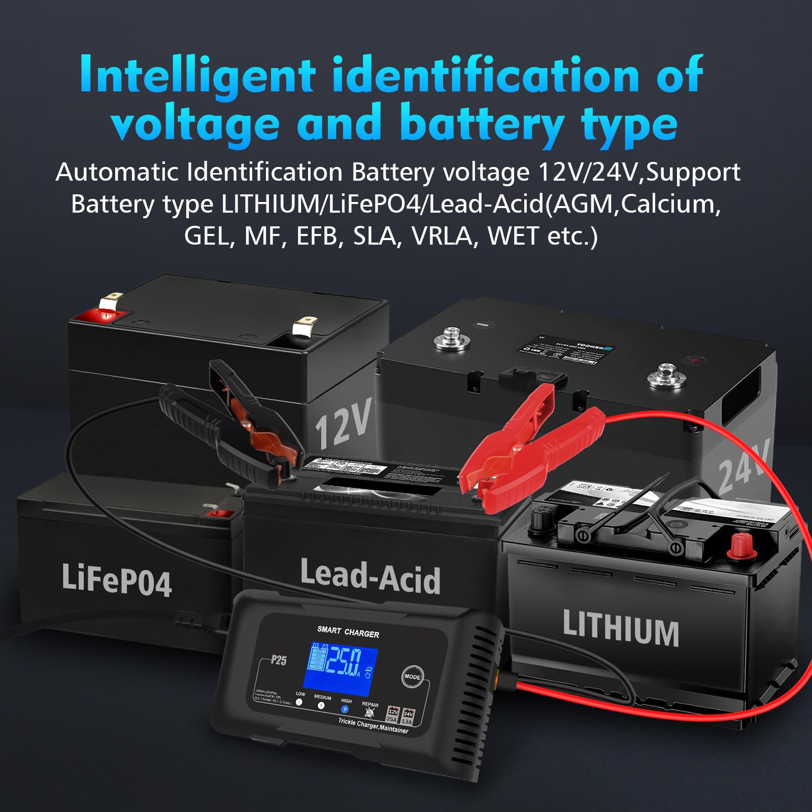 25Amp 12V/24V Lithium Battery Charger for Lifepo4 & Lead Acid (AGM/Gel/SLA) - High Power Fast Charger & Trickle Maintainer for Car, Boat, Motorcycle - Perfect for RV, Marine, ATV & Off-Grid Power Supply