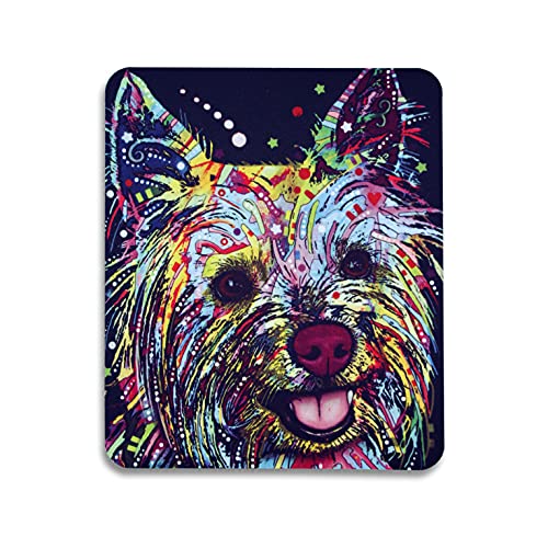 Yorkie