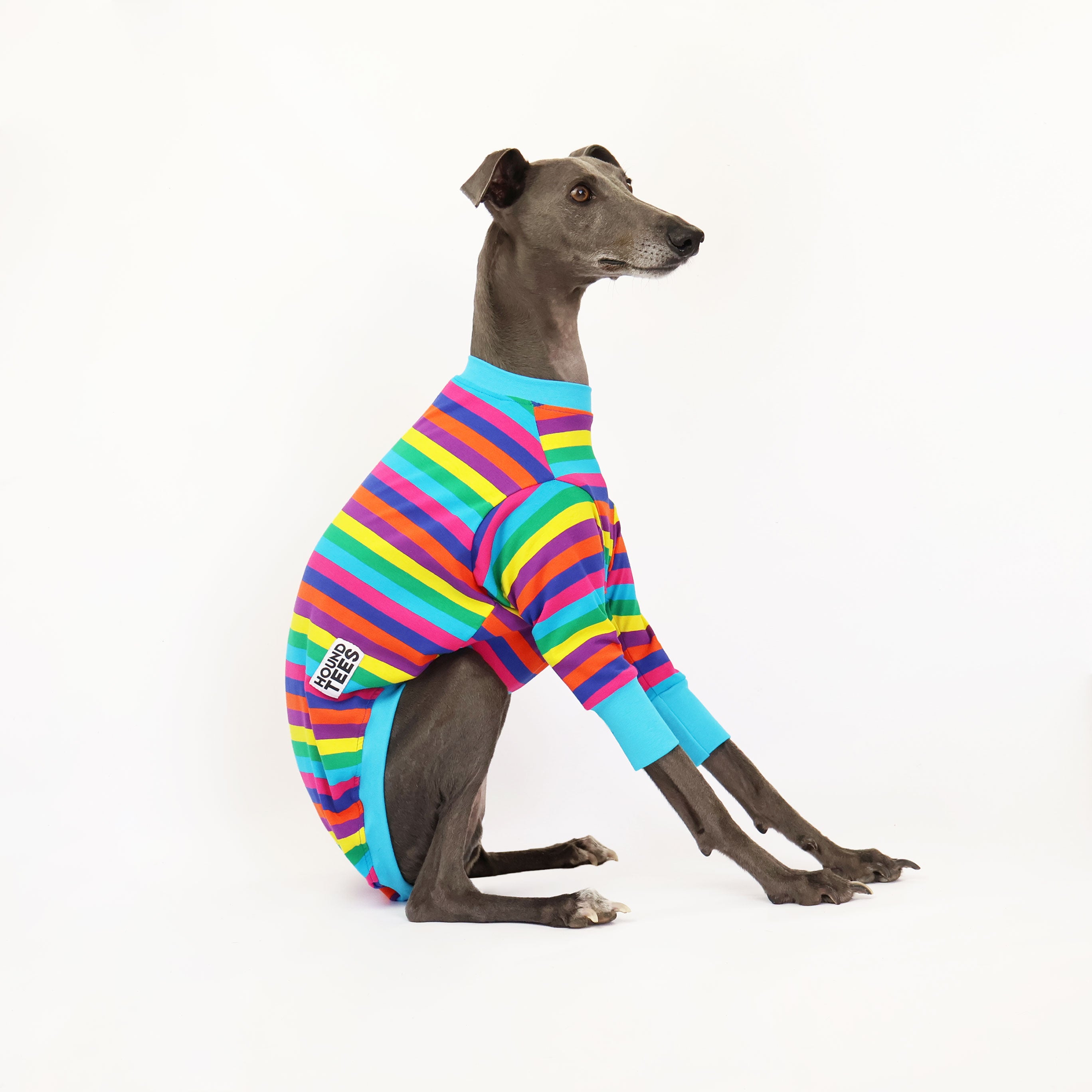 Candy Whippet Long Sleeve Hound T-Shirt for Women - Comfortable Dog Lover Apparel - Perfect for Casual Wear, Dog Walks & Pet Owner Gifts