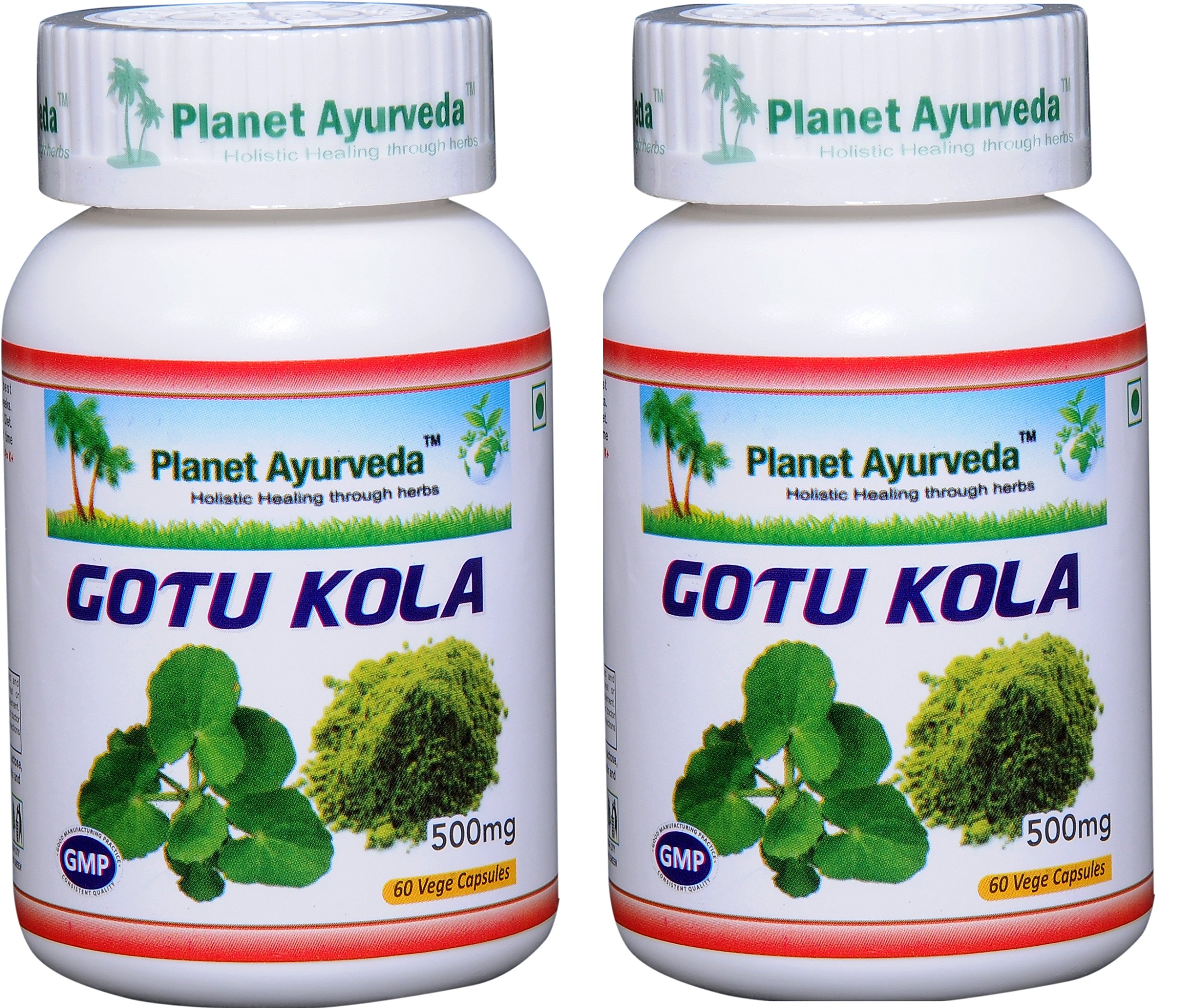 Planet Ayurveda Gotu Kola 500mg Veg Capsules - 2 Bottles (120 Capsules) | Natural Memory & Brain Support Supplement | Perfect for Students, Professionals & Seniors