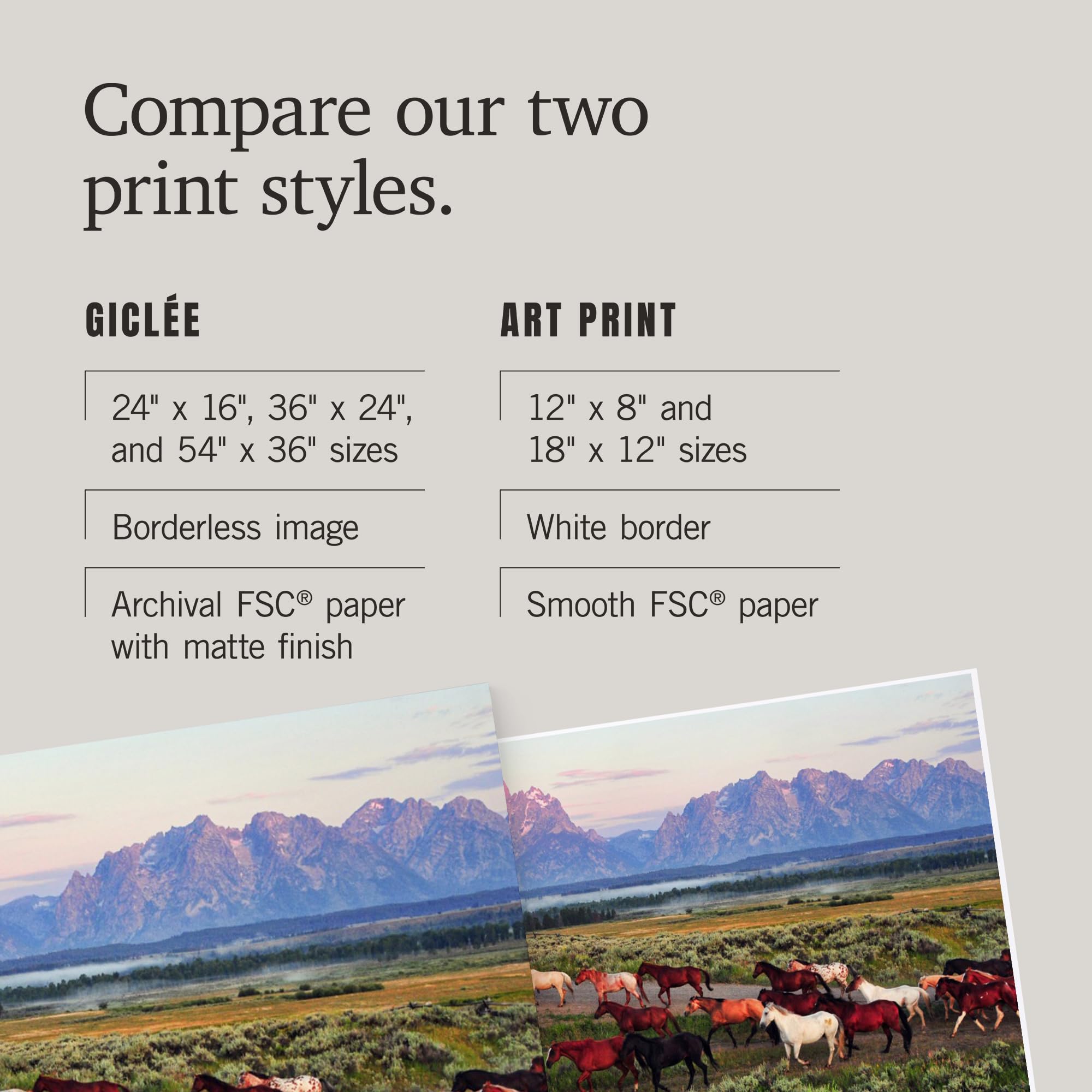 Lantern Press 16x24 Inch Giclee Art Print - Wild Horses and Sunrise Landscape Wall Decor - Perfect for Living Room, Bedroom & Office